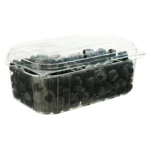 Arándano Premium caja 500gr