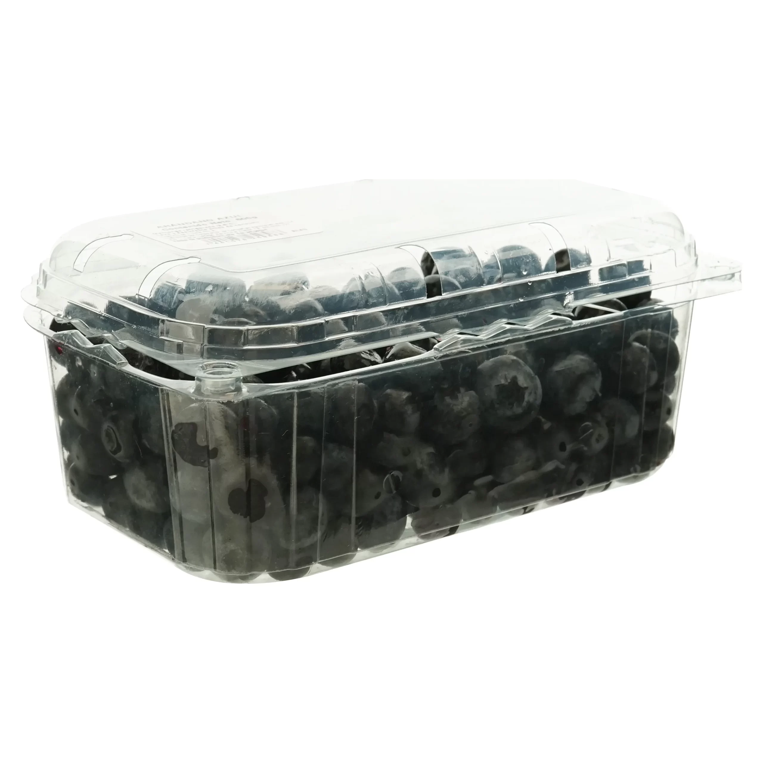 Arándano Premium caja 500gr