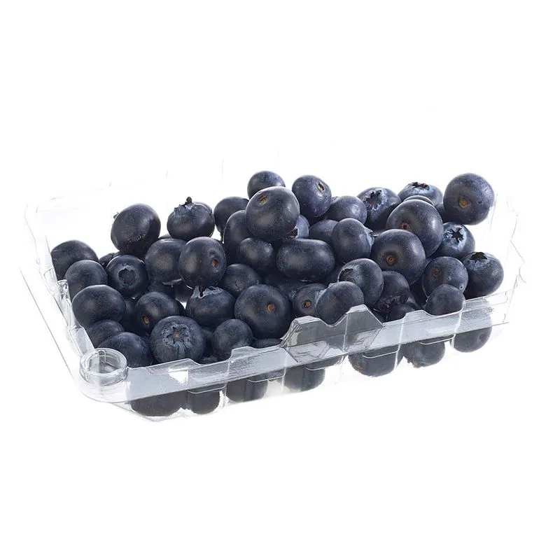 Arándano Premium caja 500gr - Imagen 2