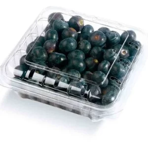 Arándano Premium caja 125 gr